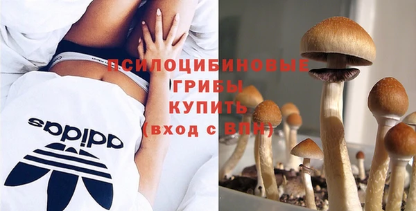 марки nbome Алзамай