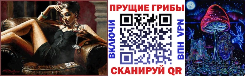 Псилоцибиновые грибы мицелий  купить   Суровикино 